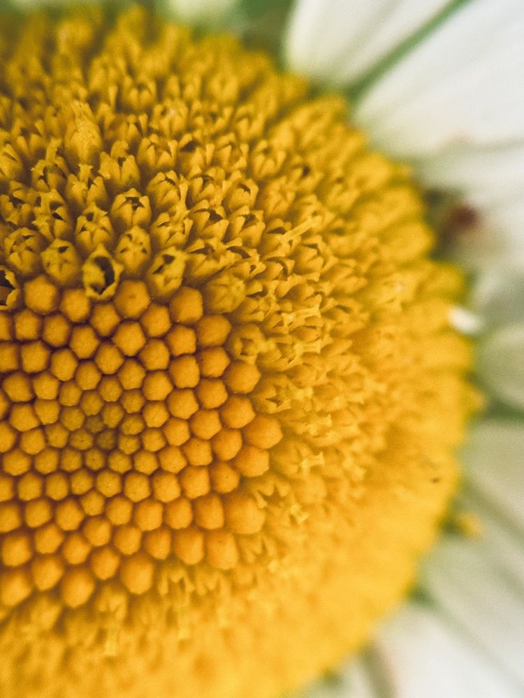 Photograph by Ксения Гулькова