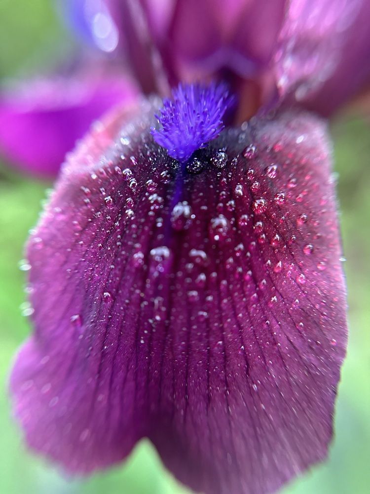 Photograph by Ксения Гулькова