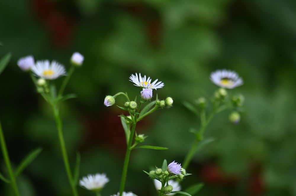 Photograph by Дмитрий Жуков