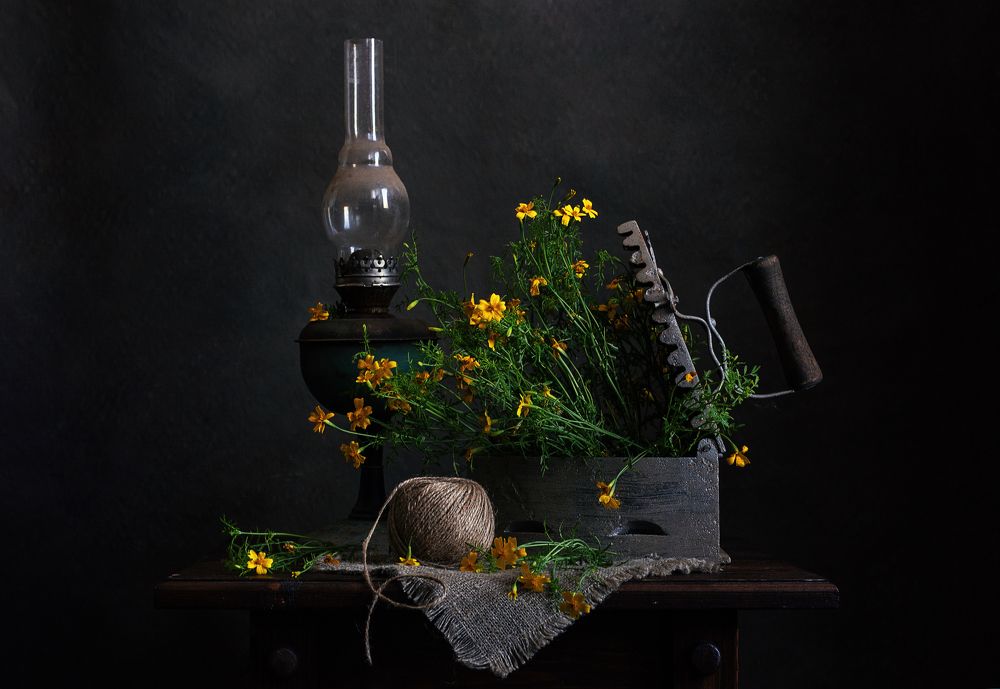 Photograph by Александра