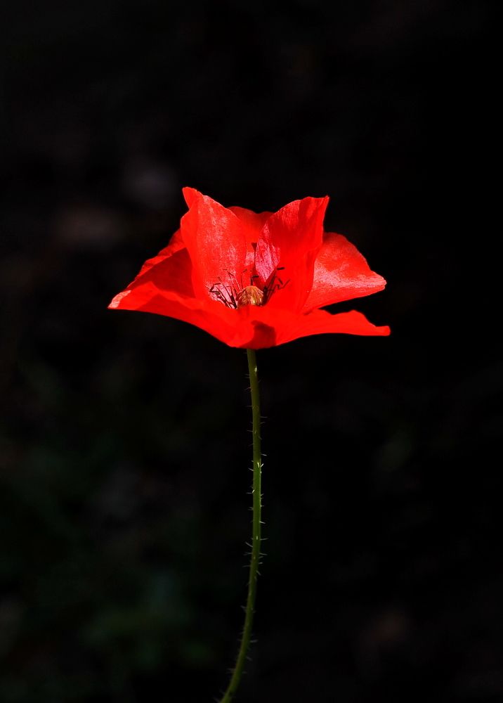 Photograph by Алексей Volg