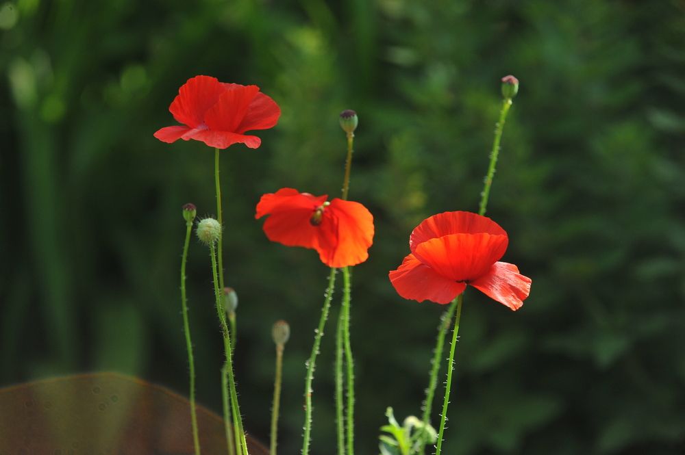 Photograph by Алексей Volg