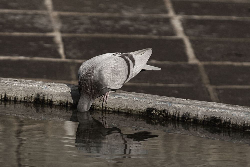 Photograph by mahdi karimi souderjani