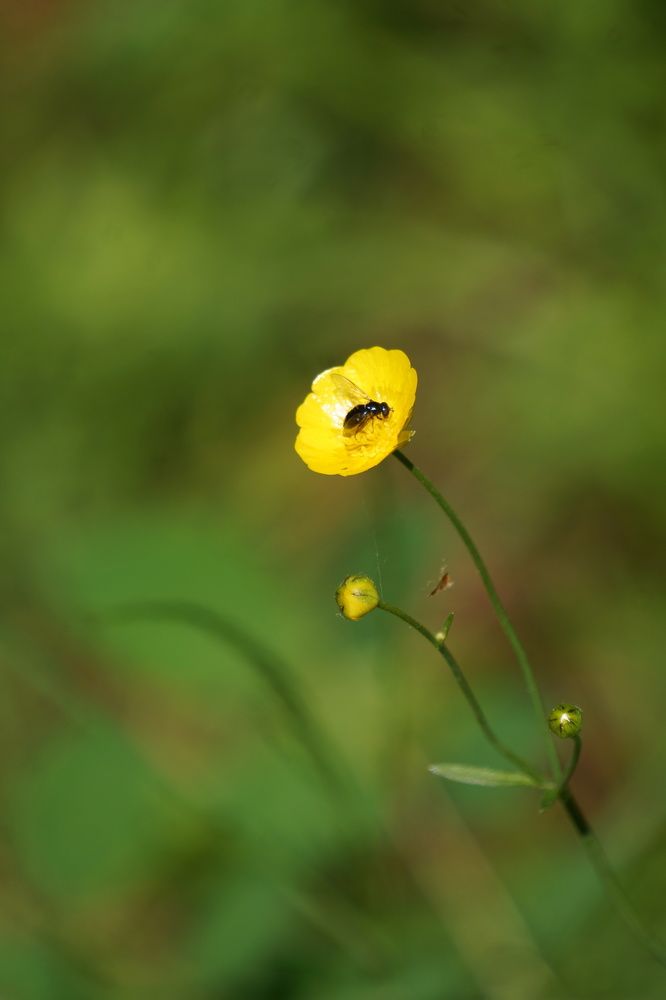 Photograph by Oksana Smorodina