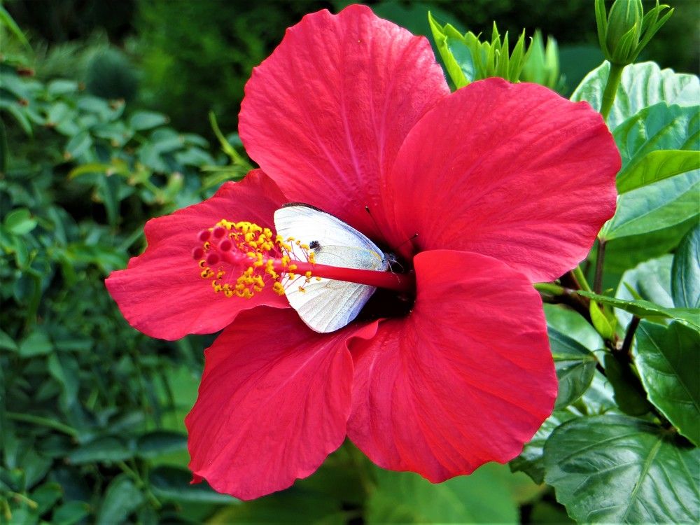 Photograph by Галина