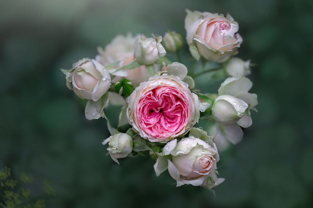 Photograph by Armen  Maitesian