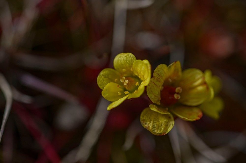 Photograph by Алексей Логинов