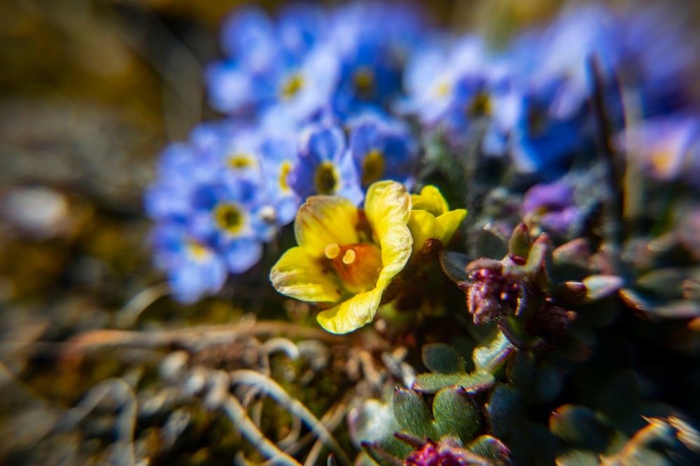 Photograph by Алексей Логинов