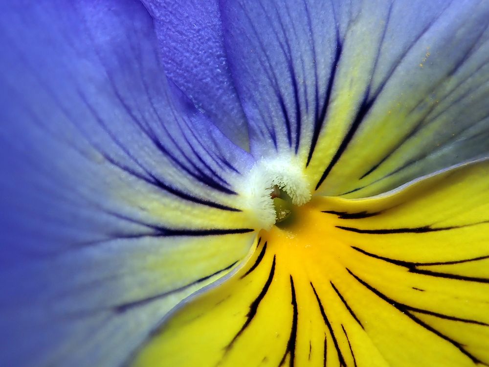 Photograph by Алексей Амилющенко