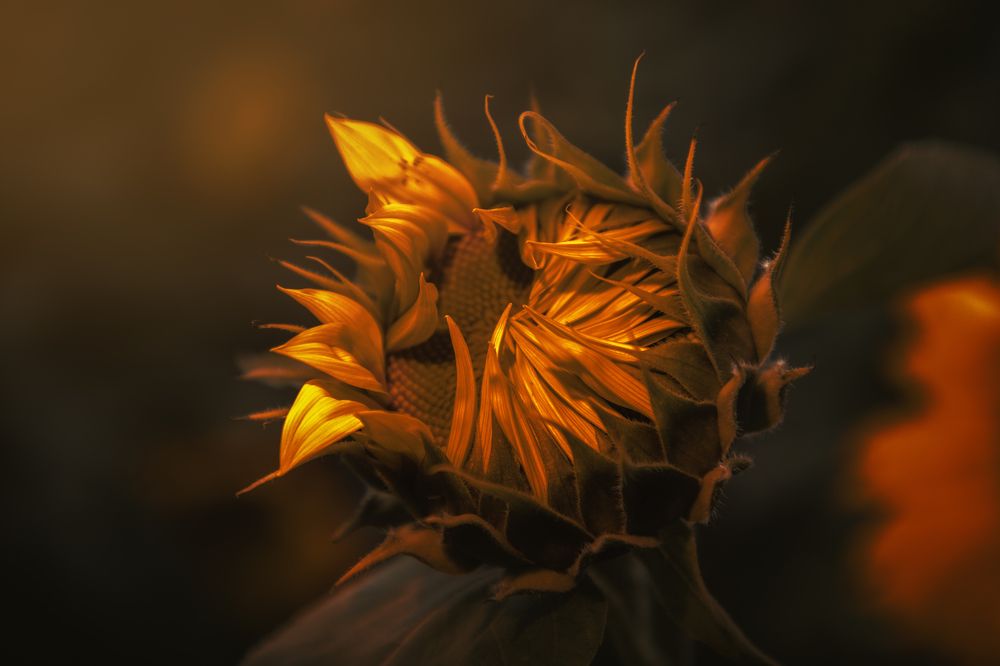 Photograph by Armen  Maitesian