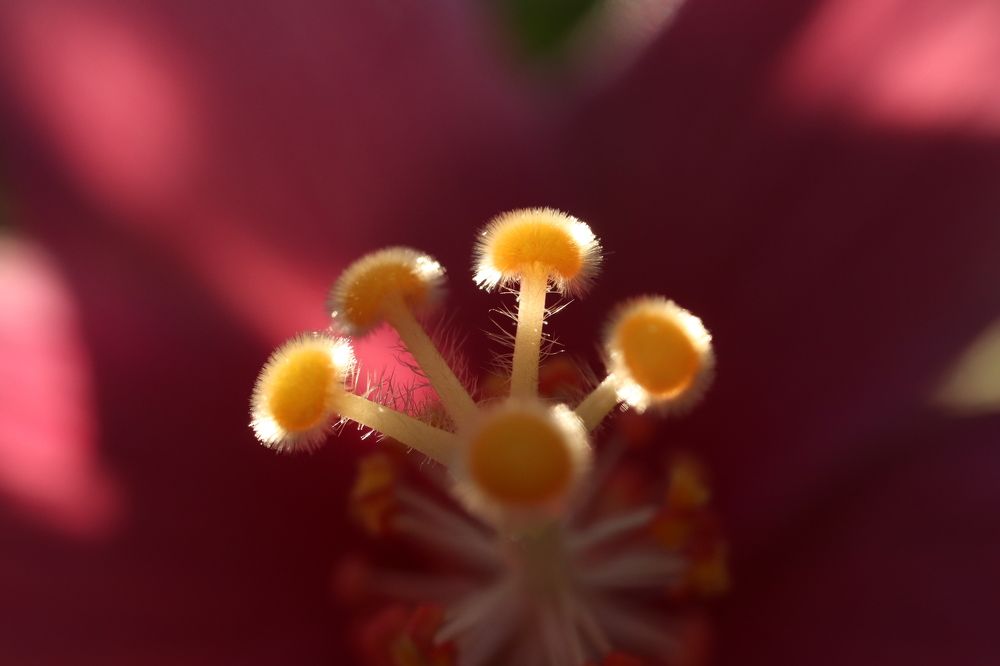 Photograph by Se Lena