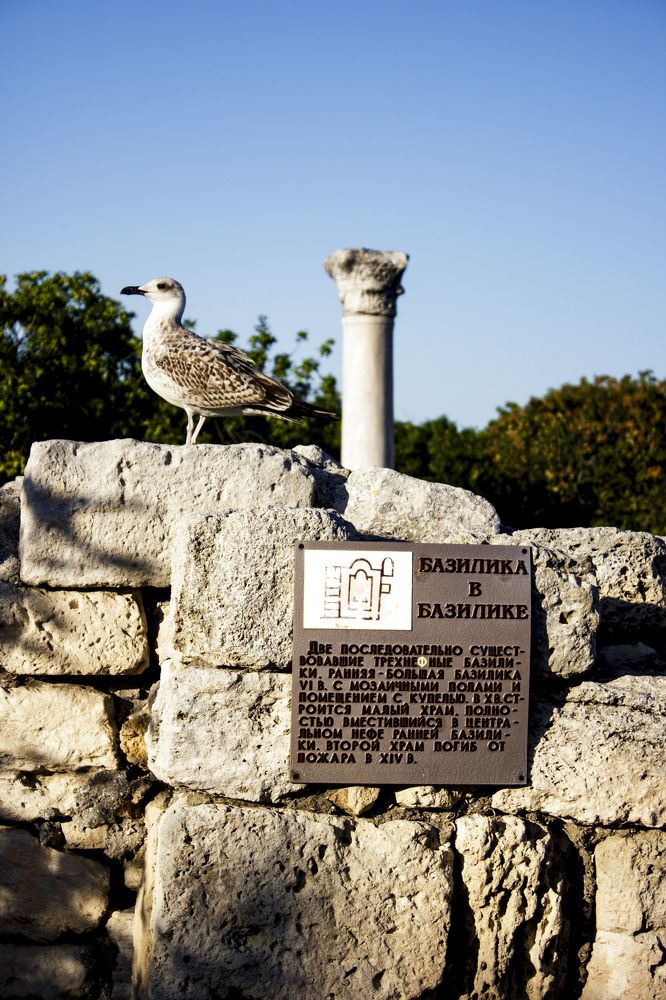 Photograph by Галчонок Ахмерова