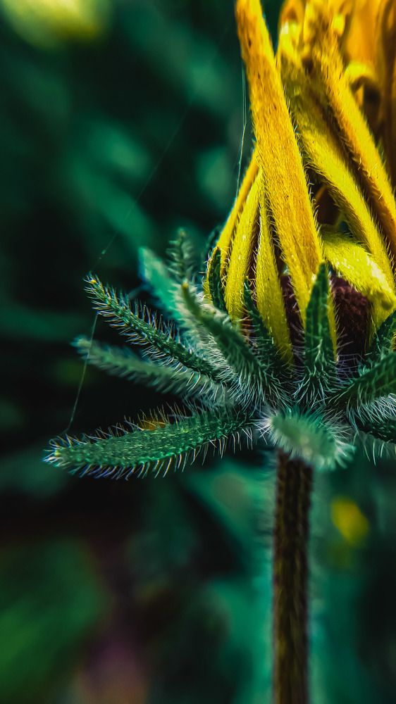 Photograph by Наталья Лищинская