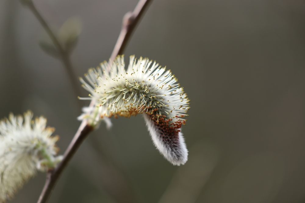 Photograph by Se Lena