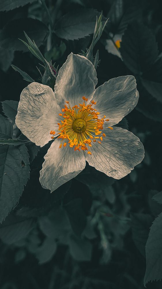 Photograph by Наталья Лищинская