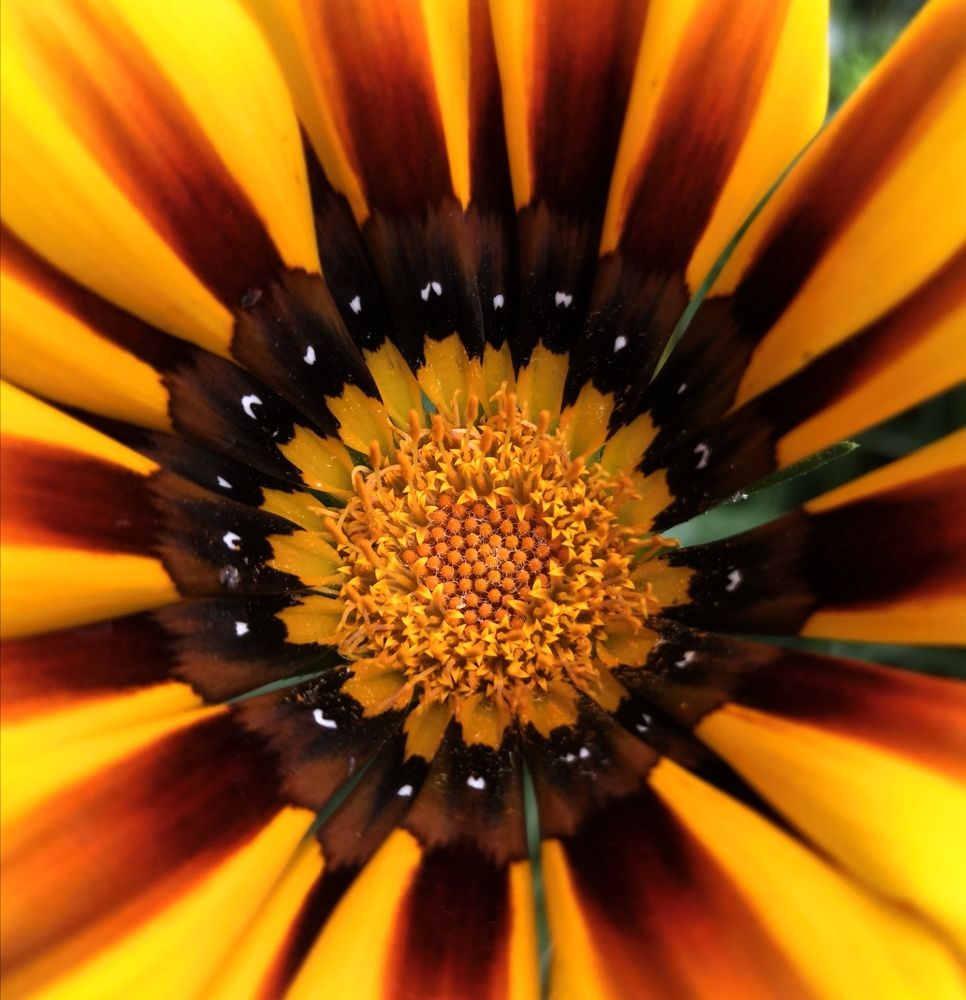 Photograph by Серёга Ануфриев