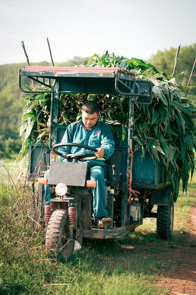 Фотография автора Luong Cung