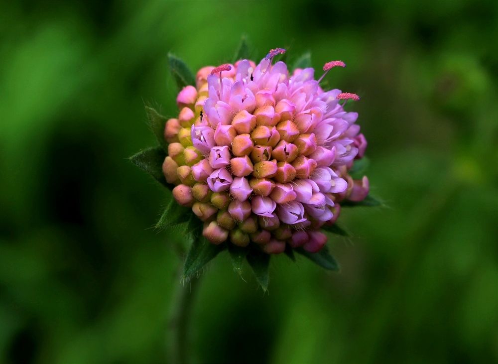 Photograph by Юлия Иванова