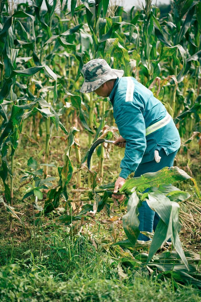 Фотография автора Luong Cung