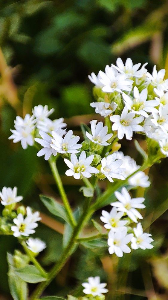 Photograph by Светлана Батурова