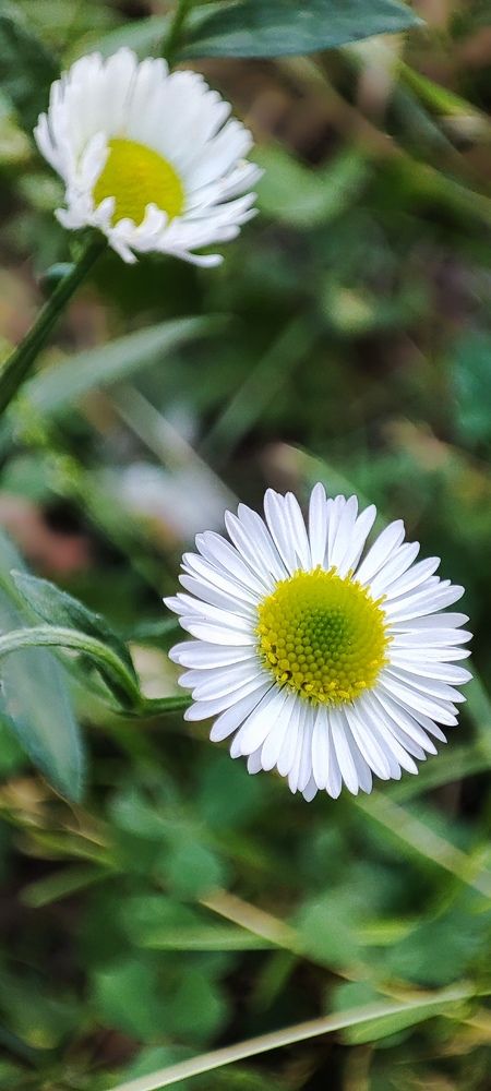 Photograph by Светлана Батурова