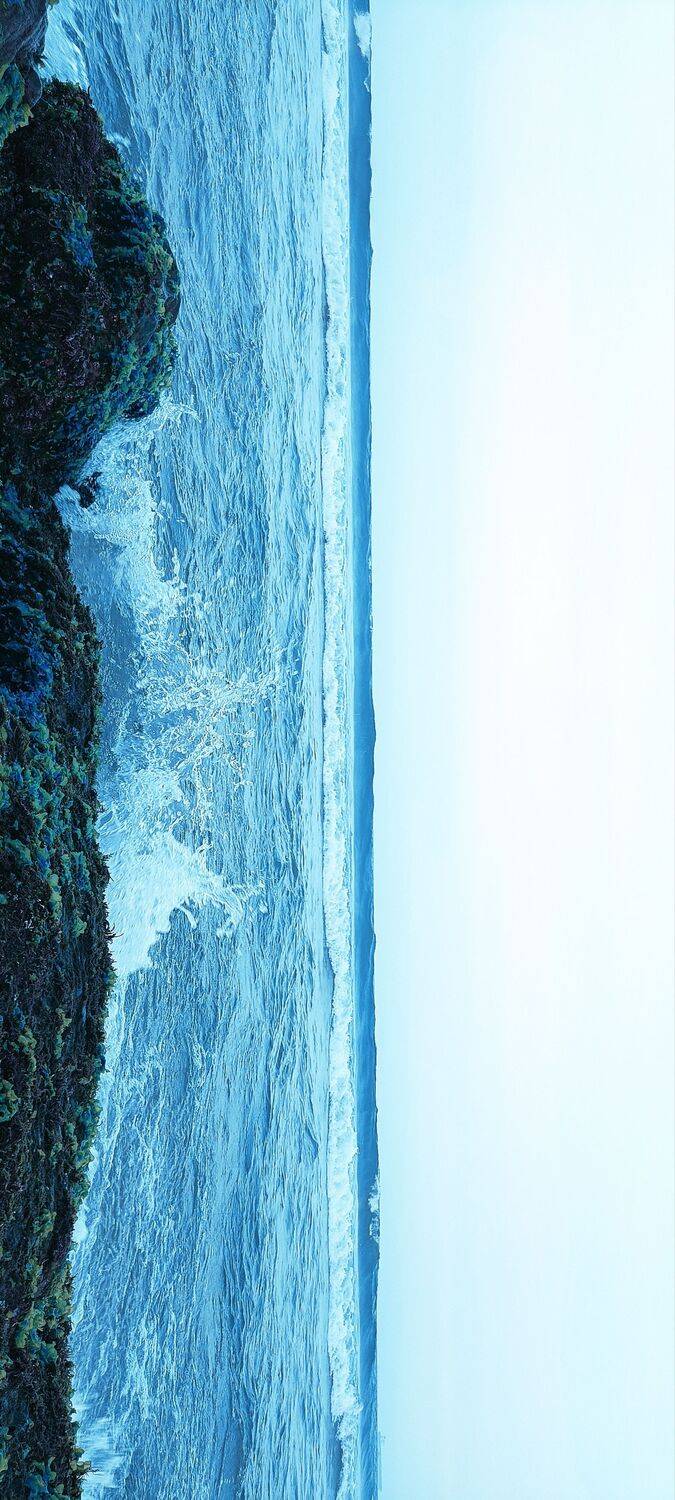 Photo #10868117