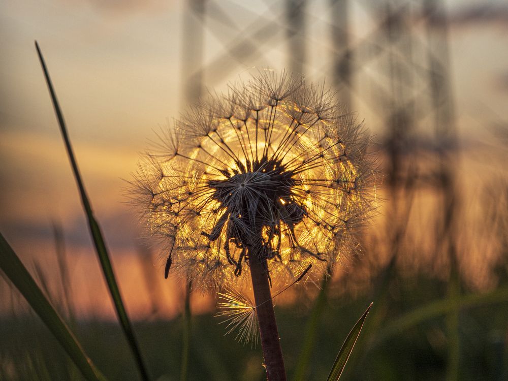 Photograph by 