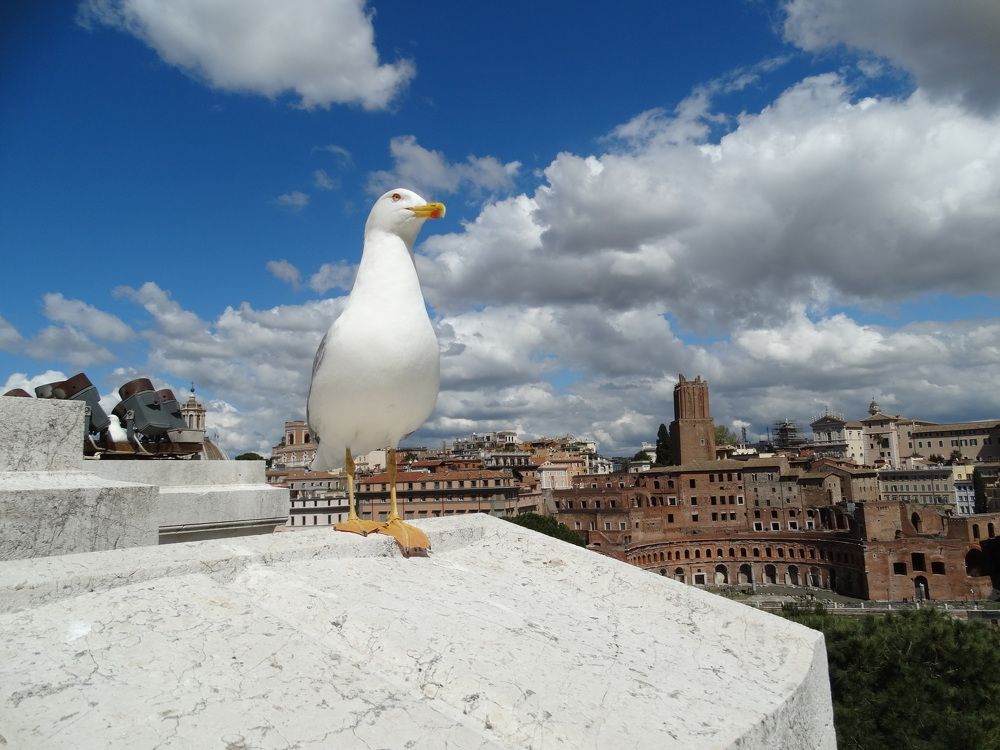 Photograph by Давыдова Ирина