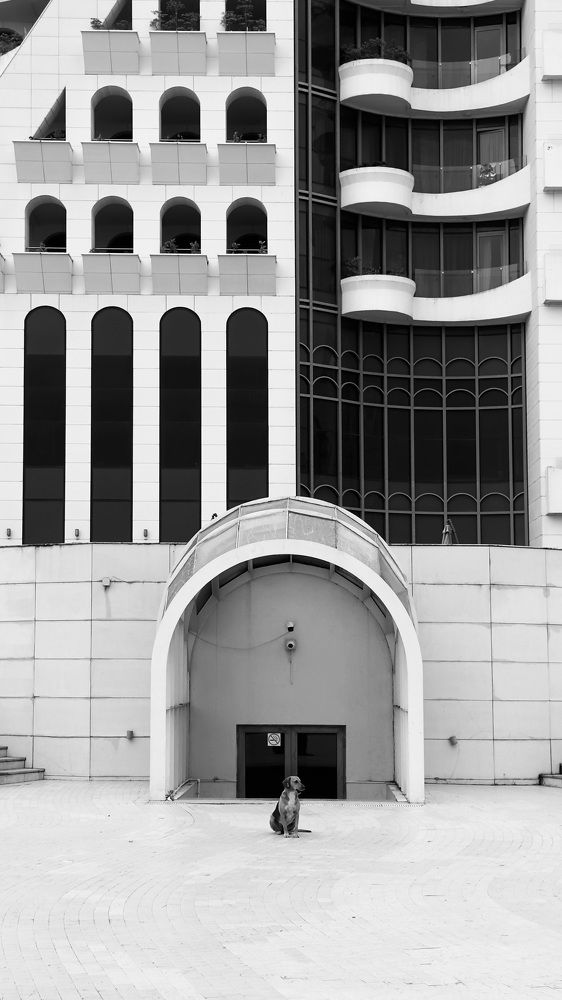 Photograph by Kateryna Verbytska