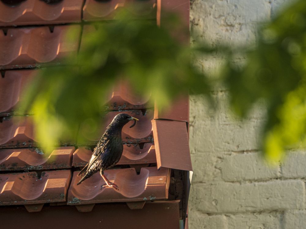 Photograph by Надежда Михайлина