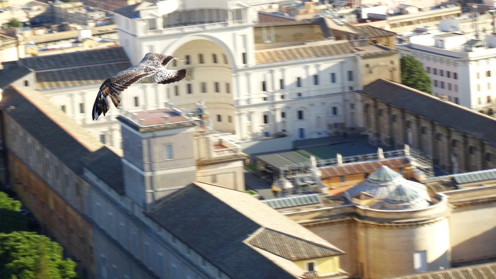 Photograph by Давыдова Ирина