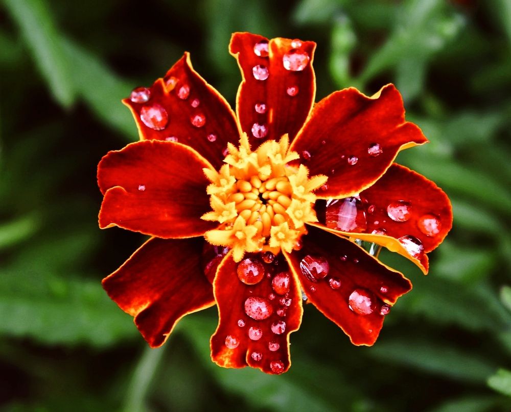 Photograph by Юлия Иванова