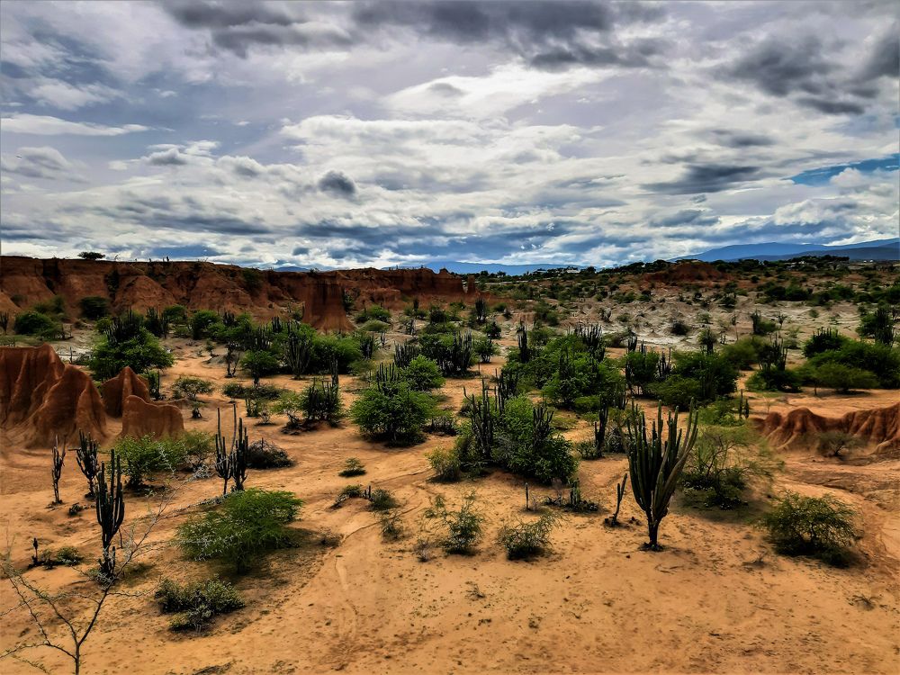 Photograph by Jair Lozano