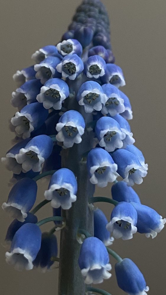 Photograph by Вероника