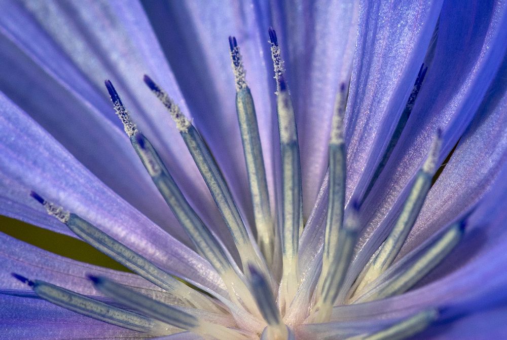 Photograph by Дмитрий Юдин