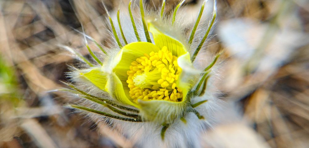 Photograph by Сергей Хранитель