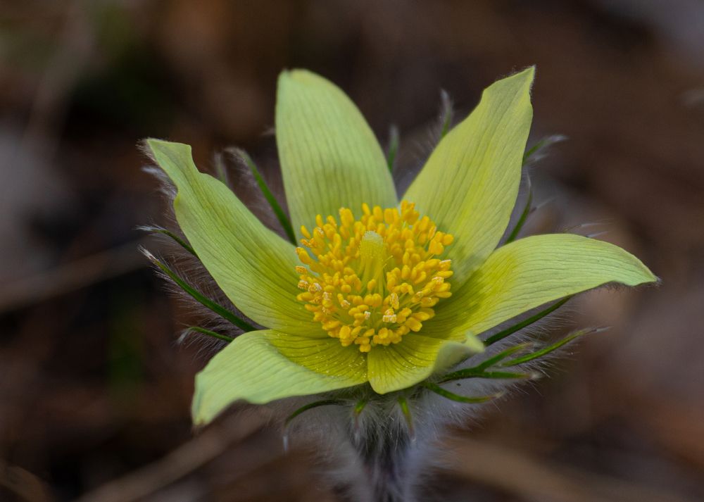 Photograph by Сергей Хранитель