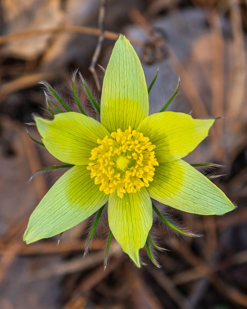 Photograph by Сергей Хранитель