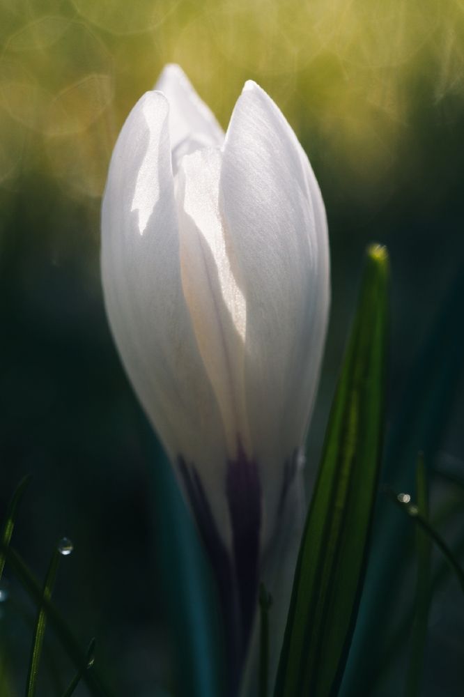 Photograph by Ольга Попова