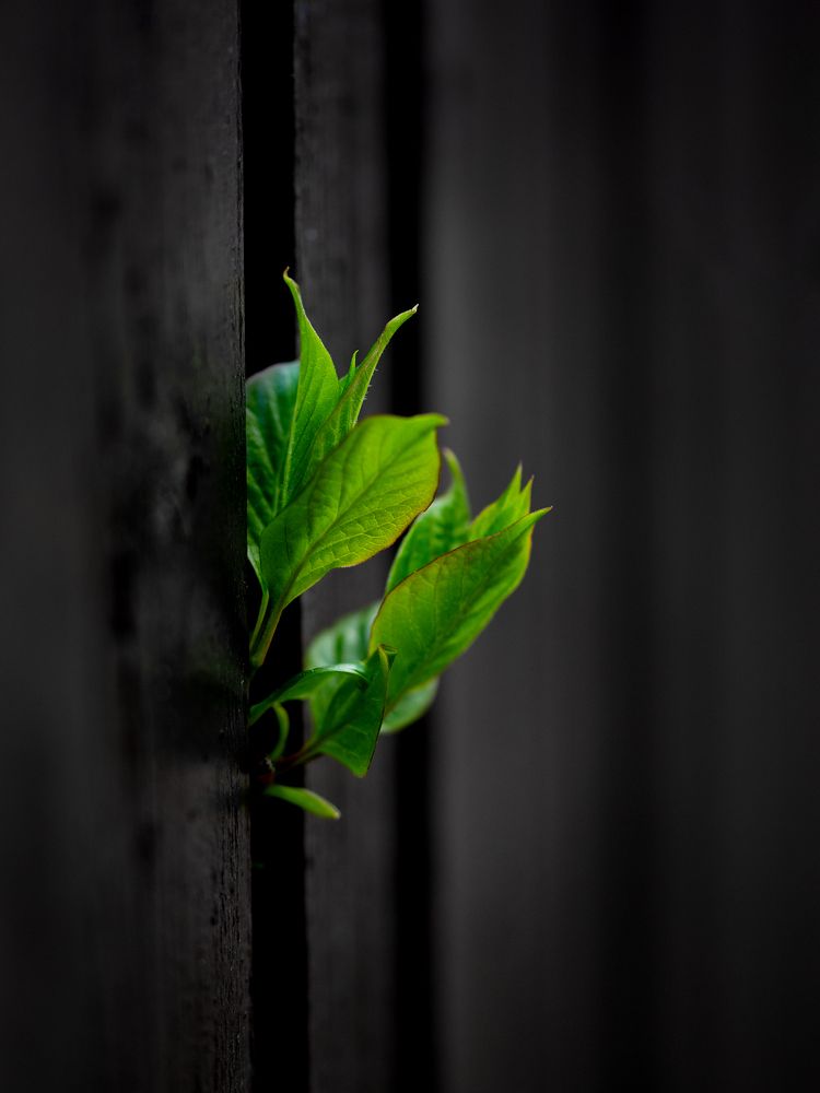 Photograph by Ольга Попова