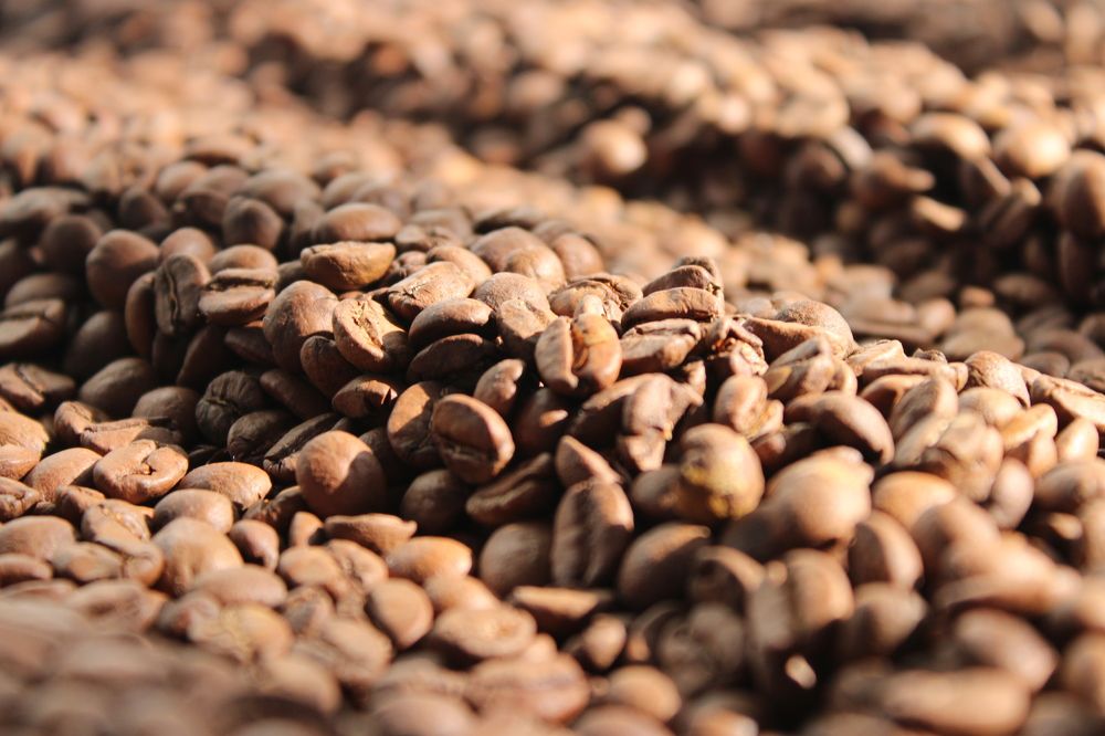 Photograph by Ольга Абугалиева