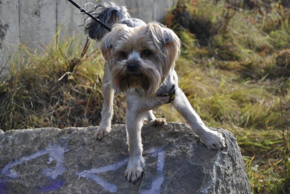 Фотография автора Виктория Астахова
