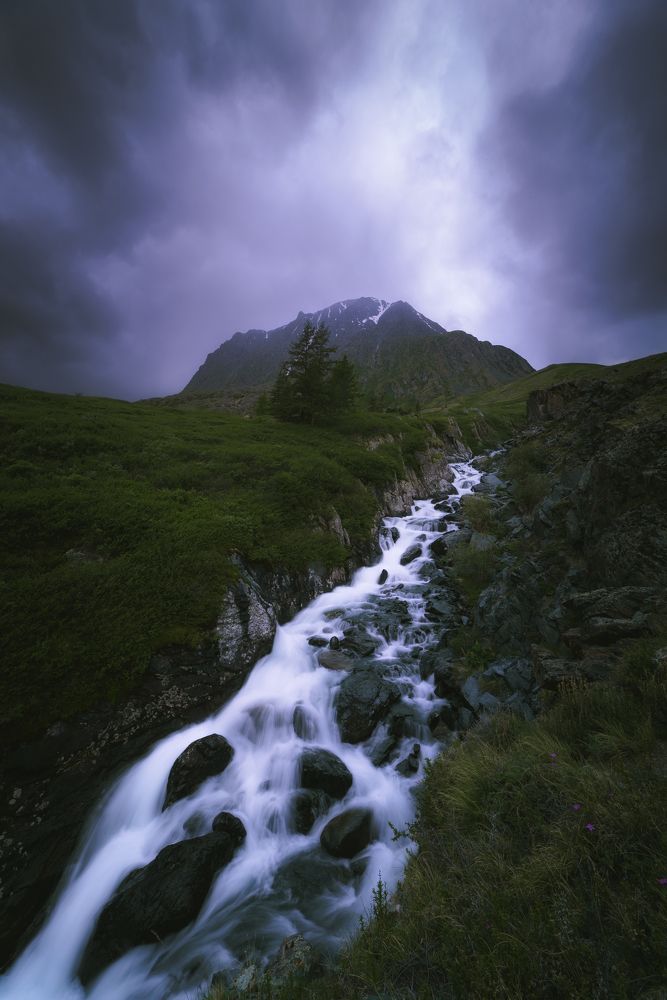 Photograph by Гущин Владимир