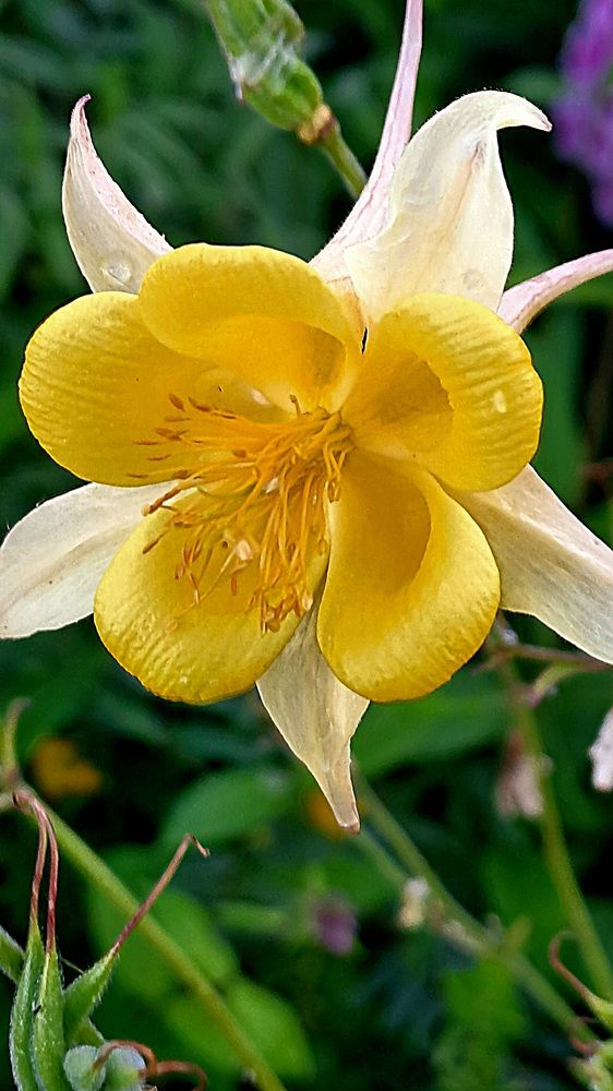 Photograph by Николай Худяков