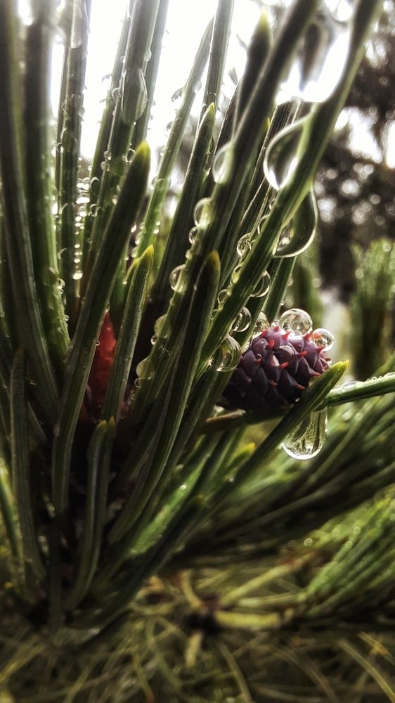 Photograph by Ольга Фомина