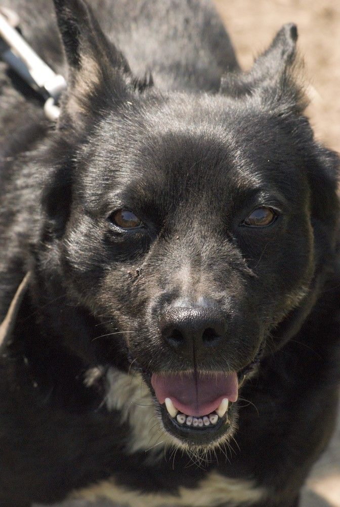 Фотография автора Виктория Астахова