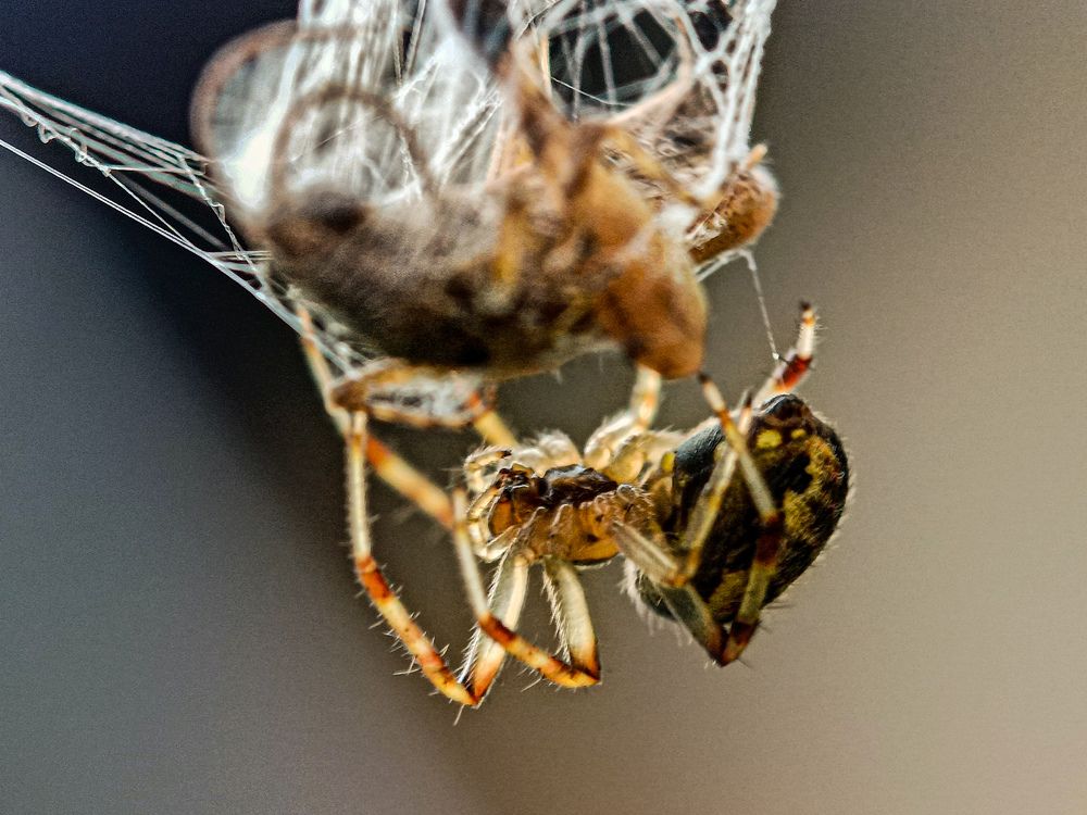 Фотография автора sayantan Pandey