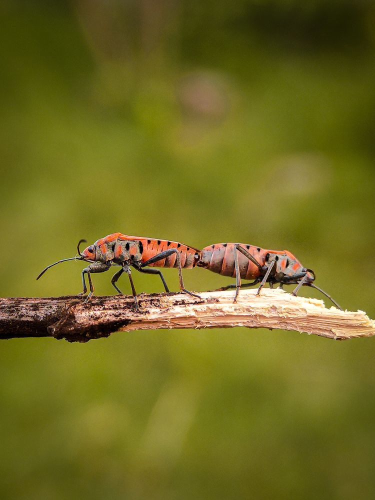 Фотография автора sayantan Pandey