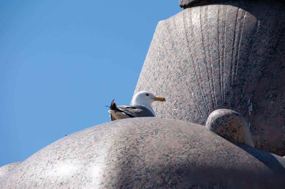Photograph by Елизавета Корнилова
