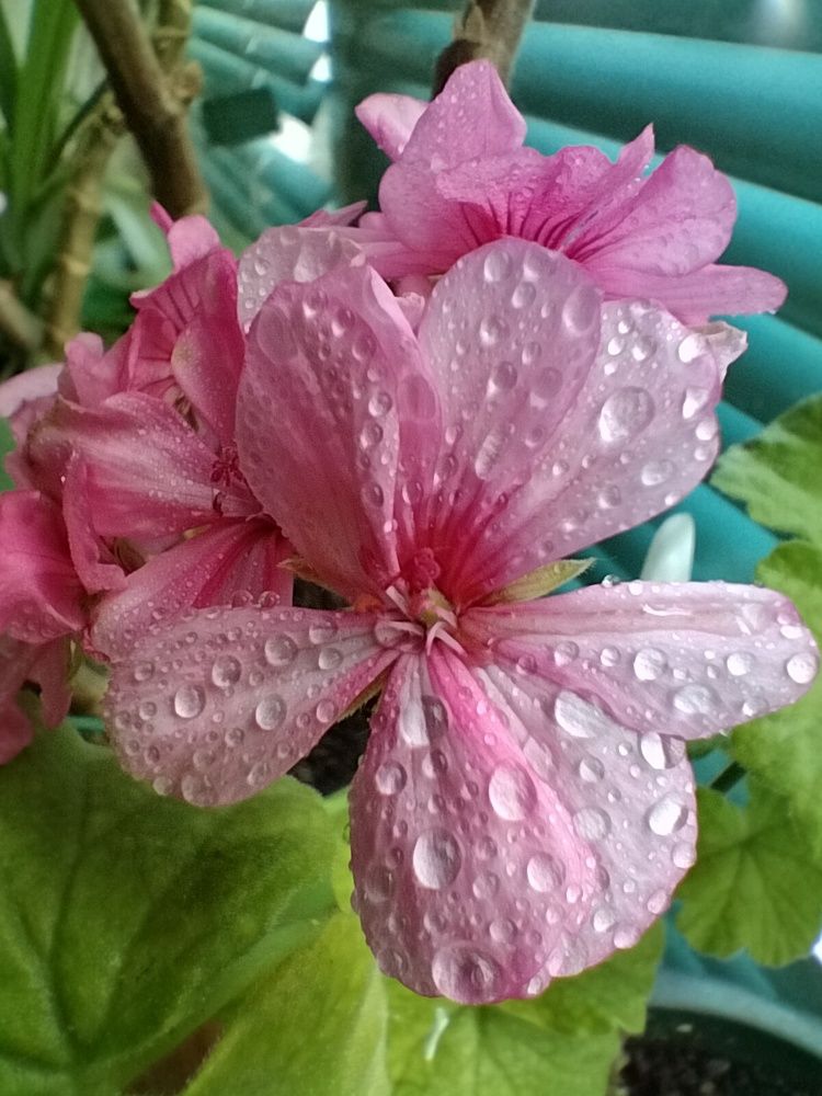 Фотография автора Наталья Драгун